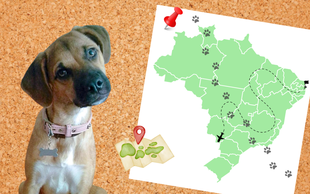 Lulú En El Aire (Otra Vez)