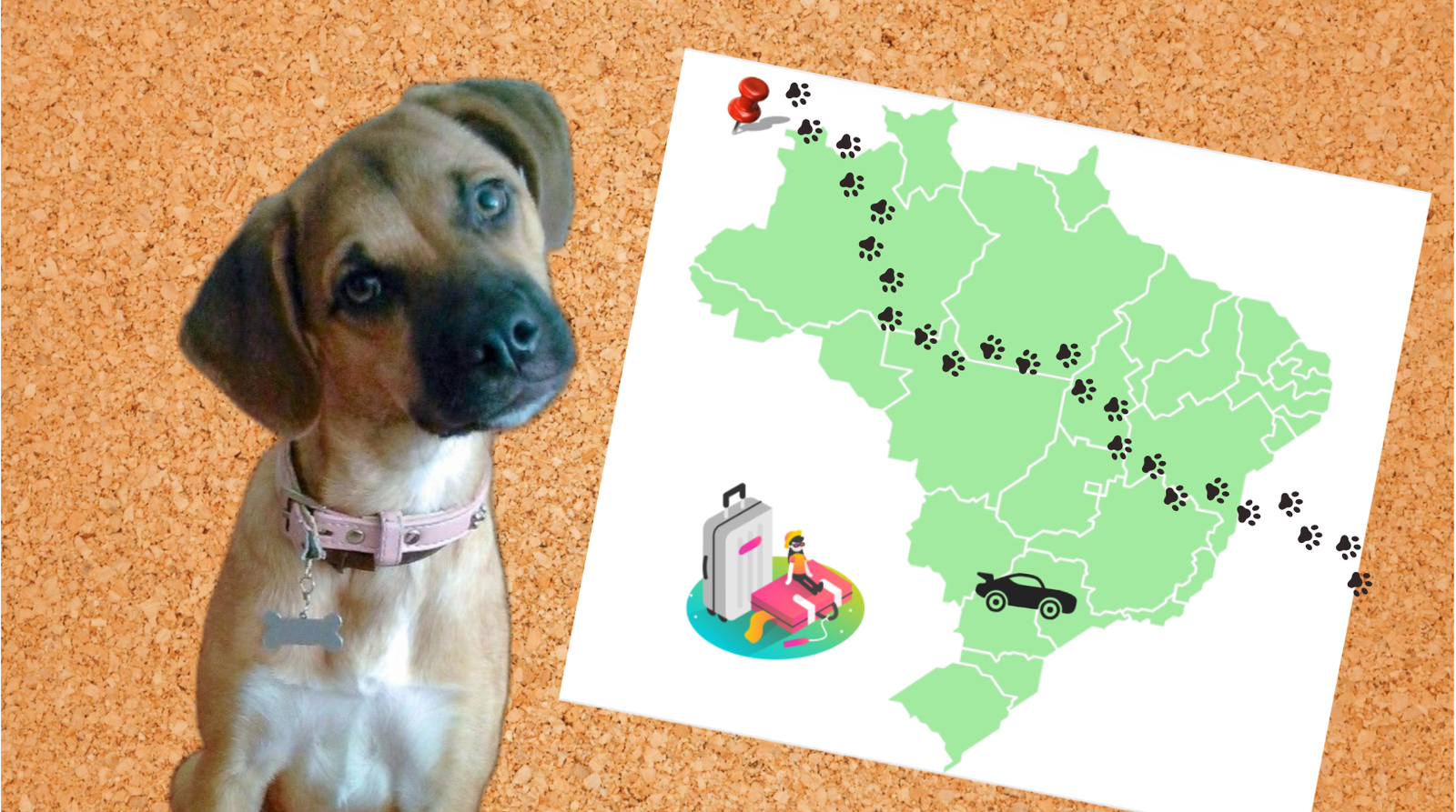 Ilustração da cachorrinha Lulú ao lado de um mapa do Brasil com pegadas marcando sua trajetória de viagem até Curitiba. A imagem inclui ícones de mala e carro, representando mudanças e viagens longas.